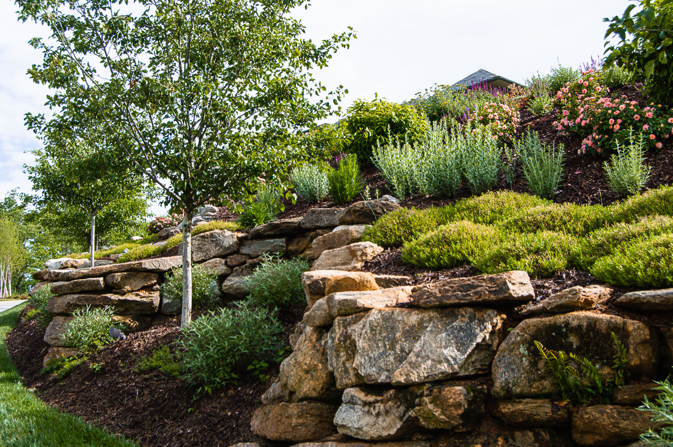 Boulders & Rock Gardens